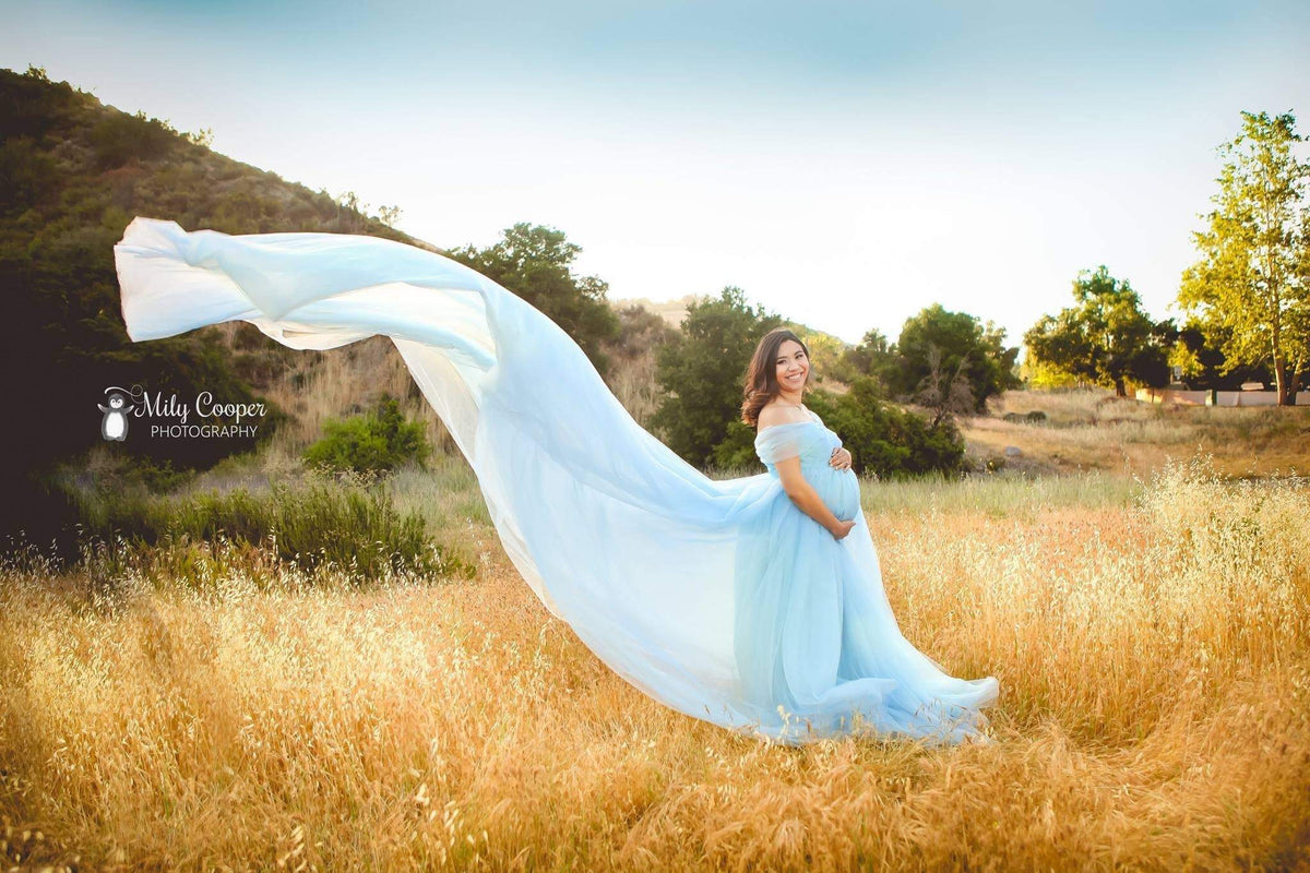 blue maternity dresses for photoshoot Shop Baby Dress with long trail Elegant Looking Dressing Table pentelei 2021 You will be the Color:Coal