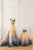 Mommy And Me Dress, Photoshoot Dress, Ombre Tulle Wedding Dress, Couture Matching Dresses, Matching Wedding Dress, Tiered Gown Outfit
