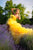 Fall Style Dress, Honeycomb Yellow Tulle Dress, Fall Clothing, High Low Dress, Tulle Tiered Dress With Train,Photoshoot Dress,Princess Dress