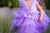 Flower Girl Dress, Lavender Tutu Dress, Baby Girl Tiered Dress, Lilac Tulle Dress, Princess Outfit, Purple Tutu Dress, Photoshoot Dress