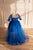 Mommy And Me Dress Formal, Outfits For Photoshoot, Royal Blue Mother Daughter Matching Dresses, Wedding Guest Train Dress, Tulle Lace Gown