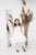 White Baptism Dress, Christening Toddler Dress, 3D Lace Dress, Baby Blessing Dress, Communion Gown, Puffy Formal Dress, Confirmation Dress
