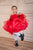 Ready To Ship ~ Red Polka Dot Girls Dress,  Princess-Themed Dress-Up Kits, Toddler Party Dress, Puffy Tutu Toddler Dress - Size 5 and 6