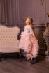 Blush Pink Girl Tulle Dress, Lace Flower Girl Dress, Blush Princess Dress