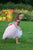 Pink Sequin Dress, Sequin Tutu Dress, Princess Dress, Flower Girl Dress, 1st Birthday Dress, Tulle Formal Dress, Toddler Gown Dress, Elegant