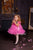 Hot Pink Dress, Baby Girl Dress, Girl Tutu Dress, Photoshoot Dress, Princess Dress, Elegant Dress, 5th Birthday Dress, Party Dress, Tulle