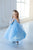 Frozen Elsa Dress, Girl Tutu Dress, Princess Dress For Girls, Tulle Girl Dress, Birthday Outfit, Toddler Girl Dress, Elsa Costume, Toddler