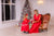 Matching party red dresses with pearls and feathers for mother and daughter