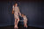Mommy And Me Outfit, Mommy And Me Dress, Matching Girl Dress, Check Dress, Matching Toddler Dress, Matching Plaid Dress, Matching Outfit