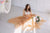 Nude Baby Shower Dress, Beige Maternity Dress For Photo Shoot, Tulle Maternity Wedding Dress, Pregnancy Dress, Maternity Lace Dress