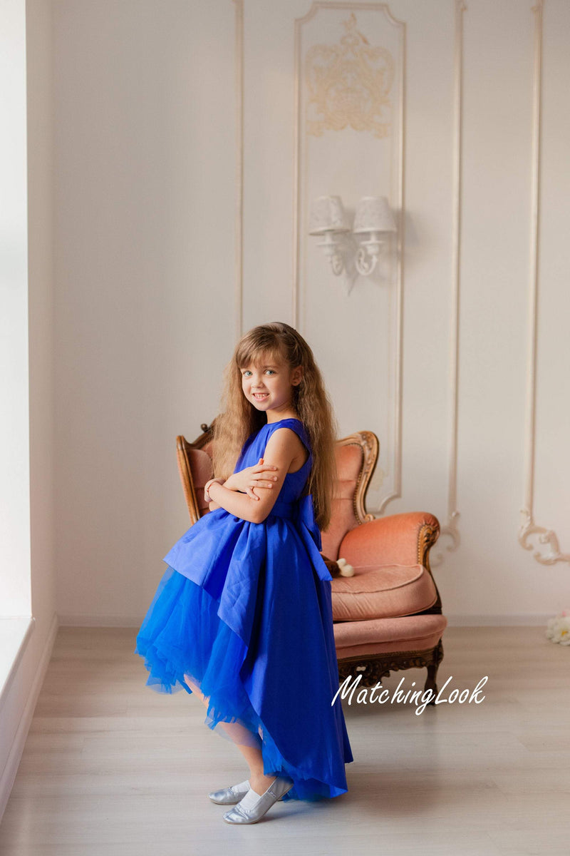royal blue dress for little girl Shop Dress, Princess Dress, Girl Dress, Flower Girl Dress, Special Occasion Dress, Formal Dress, Asymmetrical Circumference under the armpits Blush  (MistyRose) Asymmetrical Ruffle Maxi Dress Size:UK 6 / US 8 / EU 39
