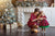 S and 12-18 months Tartan Dress, Mother Daughter Matching Dresses, Red Plaid Mommy and Me Outfit, Girl Tutu Dress, Gingham Red Dress