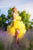 Yellow Mommy and Me Dress, Tulle Tiered Dress, Designer Dress, Tulle Princess Dress, Mother Daughter Matching Dress, Formal High Low Dress