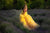 Yellow Mommy and Me Dress, Tulle Tiered Dress, Designer Dress, Tulle Princess Dress, Mother Daughter Matching Dress, Formal High Low Dress