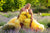 Yellow Mommy and Me Dress, Tulle Tiered Dress, Designer Dress, Tulle Princess Dress, Mother Daughter Matching Dress, Formal High Low Dress